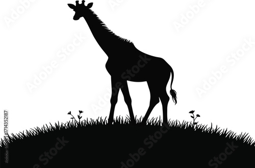 Giraffe Silhouette Vector Illustration on White Background
