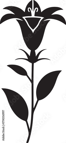  Black silhouette of a campanula bellflower on a white background, minimal style.