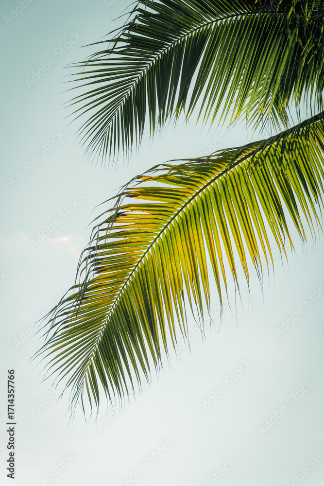 Fototapeta premium Dia De Los Muertos - Mexico