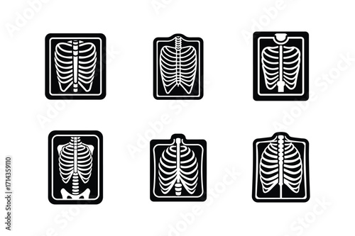 x-ray icon silhouette vector illustration
