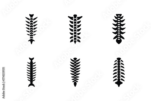 xray spine icon silhouette vector illustration