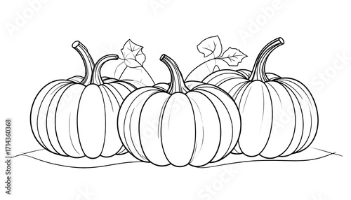 Black and white drawing of pumpkins