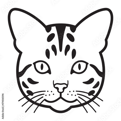 Detailed line art illustration of a domestic cat's face with distinctive markings, perfect for design elements
