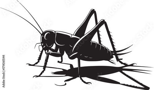 Black silhouette of a cricket on a white background, vector graphic