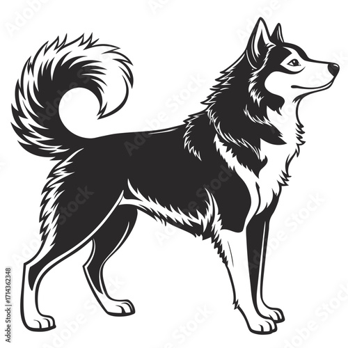 realistic husky silhouette, black fill, white background, fluffy tail curled upward