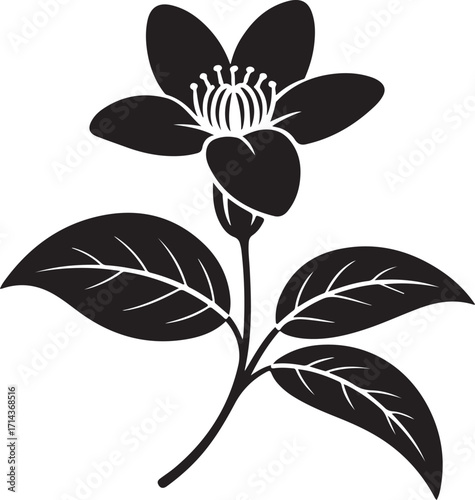 Black silhouette of a jasmine flower on a white background, minimal art