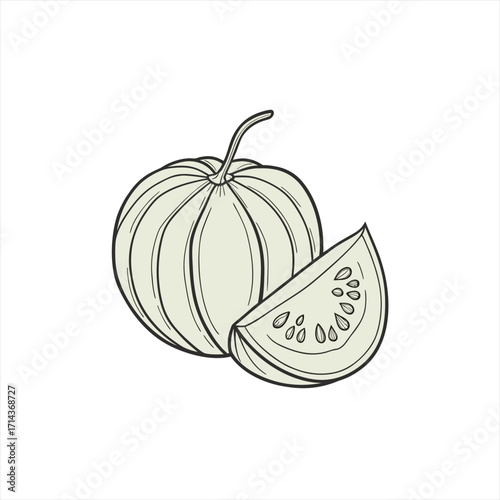 Stylized illustration of a whole pumpkin and a slice of pumpkin with seeds