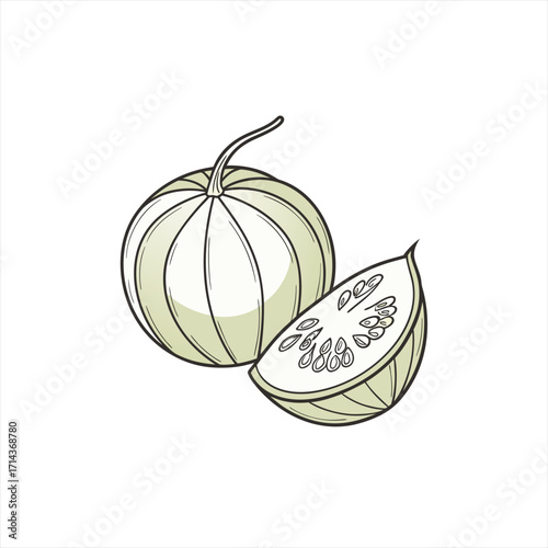 Illustration of a whole cucumber and a slice with seeds