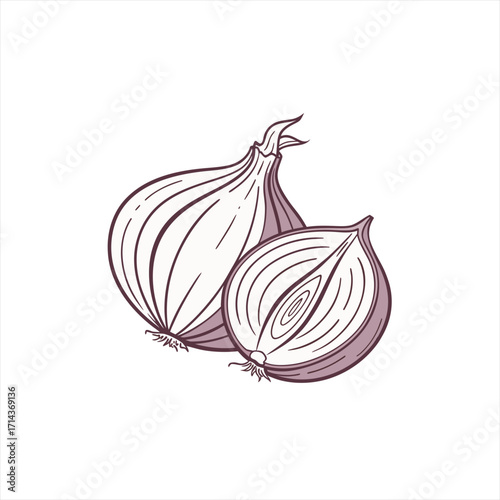 Hand drawn illustration of a whole and halved onion on a white background