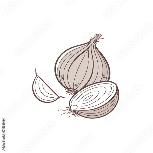 Hand drawn illustration of a whole onion a halved onion and a garlic clove
