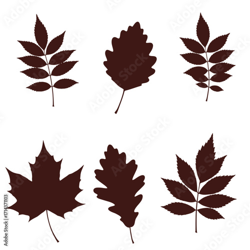 Collection of six different autumn leaf silhouettes with detailed veins and shapes for seasonal designs and fall decor isolated on white background Vector Illustration