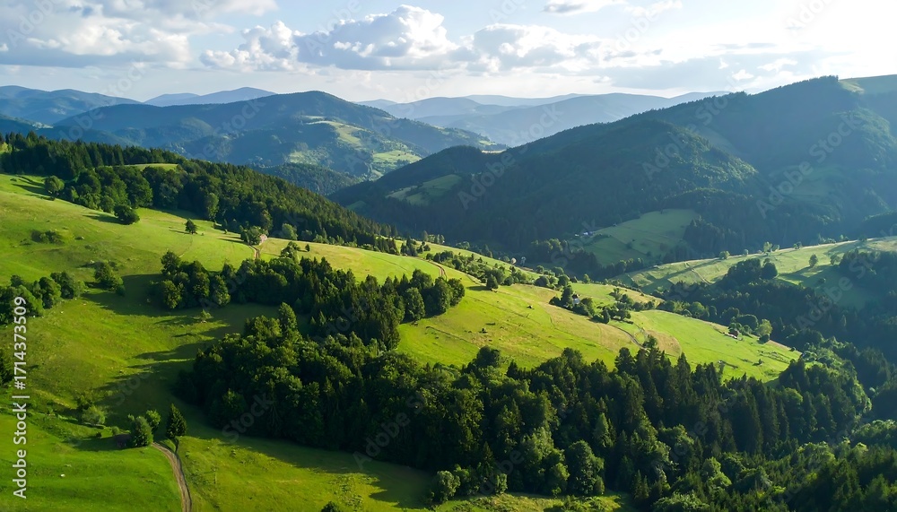 Fototapeta premium Panoramic mountain valley landscape