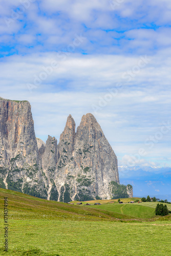 View over the alpine meadows towards the peaks of the Schlern on the Seiser Alm, Dolomites, South Tyrol, Italy.