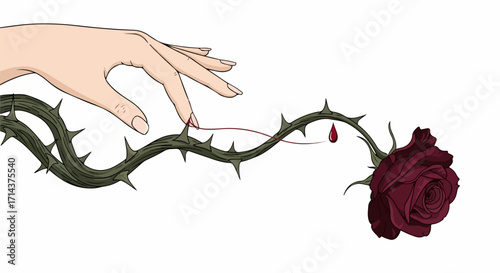 A hand gently touching a thorny vine with a single drop of blood near a dark red rose, isolated on white background, creating a delicate image