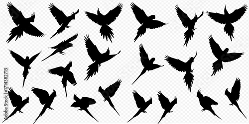 A collection of black flying parrot silhouettes in various dynamic poses against a transparent background.