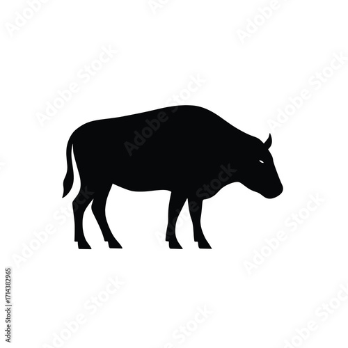 Buffalo silhouette grazing