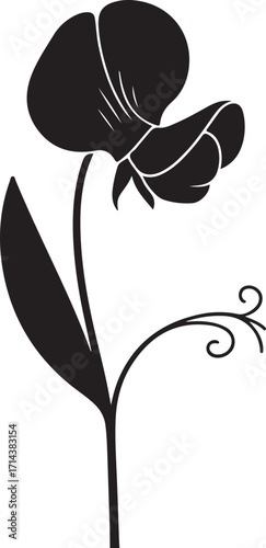  Black silhouette of a sweet pea flower on a white background, minimal style