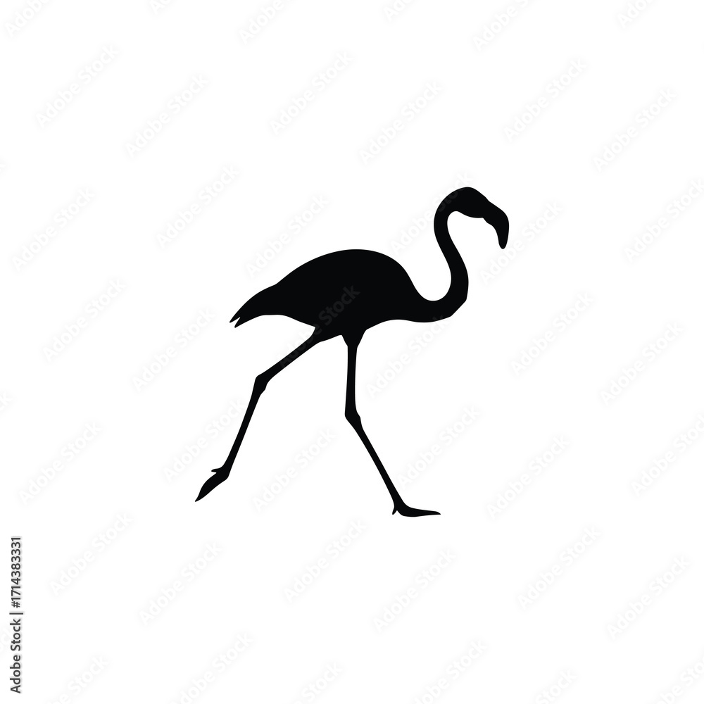 Fototapeta premium Flamingo walking silhouette
