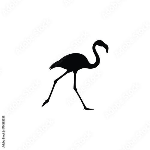 Flamingo walking silhouette