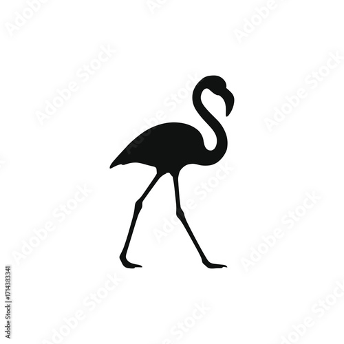 Flamingo walking forward side profile