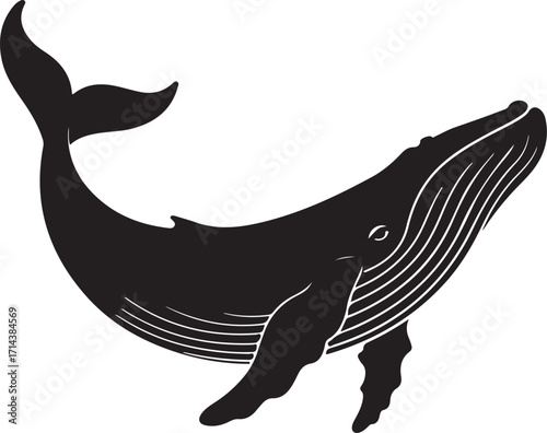  Black silhouette of a whale on a white background, minimal design