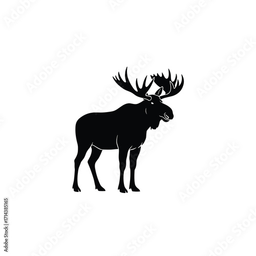 Moose standing front view silhouette
