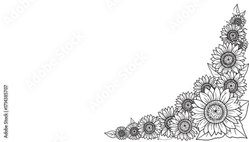 Black and white sunflower border