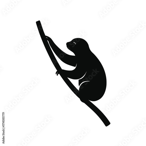 Sloth climbing tree branch silhouette