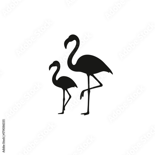 Two flamingos standing pair silhouette