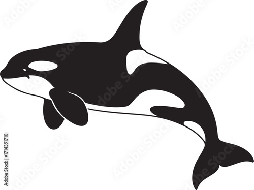 Black silhouette of an orca on a white background, clean outline