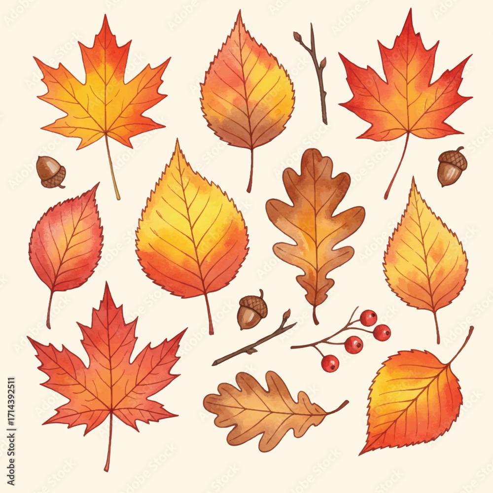 Fototapeta premium watercolor set autumn leaves elements
