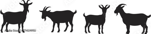 Silhouette illustration of four goats standing in different poses, farm livestock animal vector graphic, goat farming, traditional agriculture, domestic animal design element