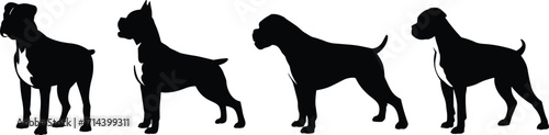 Silhouette illustration of four standing boxer dogs in different poses, black outline on white background, strong muscular breed, vector design for pet graphics