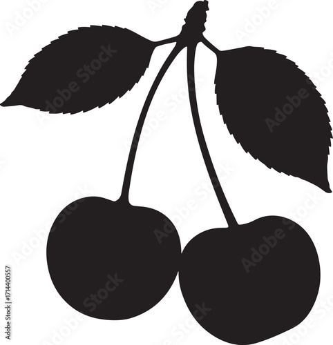  black silhouette of cherry pair on white background, vector