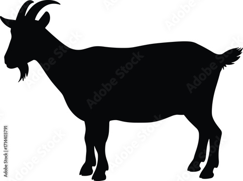 Silhouette of domestic goat standing, livestock animal illustration, farm pet with horns, rural countryside farming concept, black shape design isolated background vector