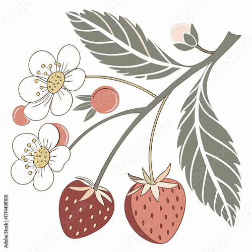 Illustration of a strawberry plant with flowers, leaves, and berries the design is simple and elegant, perfect for a variety of uses