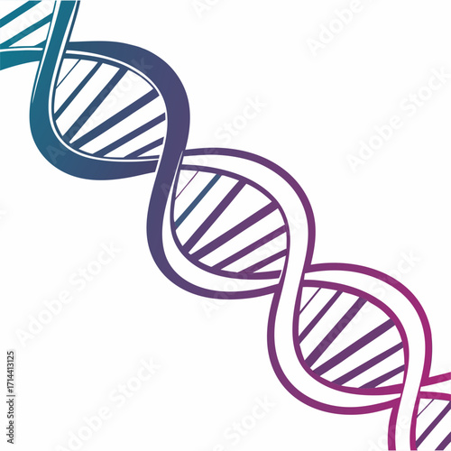 Gradient dna strand, showcasing the double helix structure and genetic code, ideal for illustrating science, medicine, and biotechnology concepts