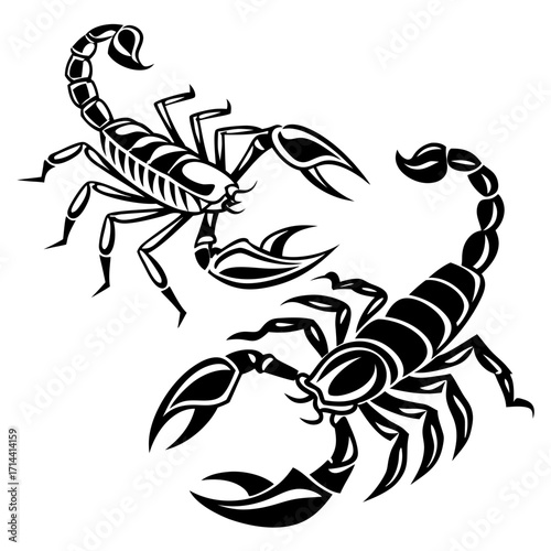 A striking illustration of two scorpions poised for action, showcasing their intricate details and menacing claws