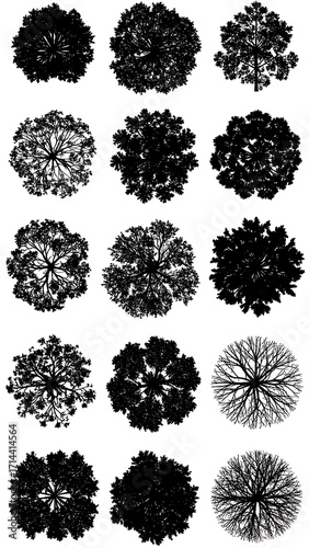 Overhead views of various trees