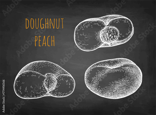 Whole and halved donut peach chalk sketches.