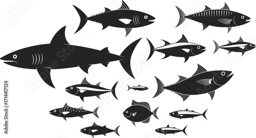 A dynamic school of various tuna fish and a shark in silhouette, showcasing ocean life, marine fauna, and the predator-prey relationship in the deep sea