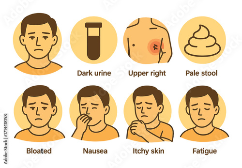 Medical symptoms silhouette icon set. featuring dark urine, upper right pain, pale stool, bloated, nausea, itchy skin, and fatigue