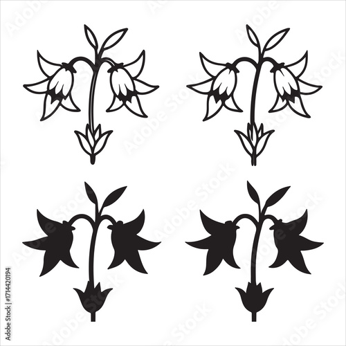 A Classic and Elegant Bellflower, a Bell Shaped Perennial from the Campanula Genus, a Symbol of Gratitude and Humility with Graceful Pendulous and Upright Blooms