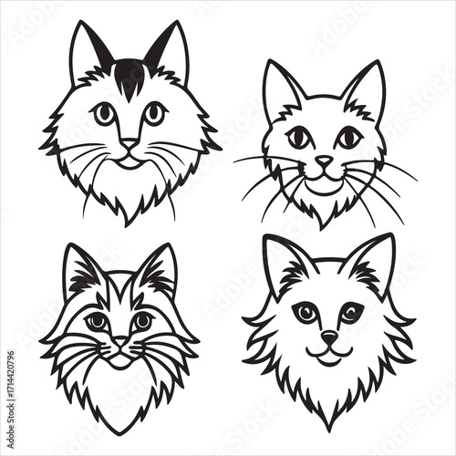 A Large and Sturdy Norwegian Forest Cat, a Nordic Gentle Giant with a Water Resistant and Semi-long Double Coat, Tuftedears, and a Bushy Tail