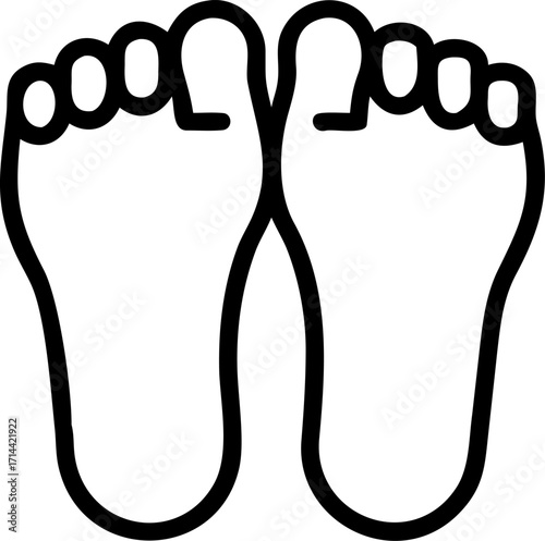 Toes (Big toe, Second toe, Middle toe, Fourth toe, Little toe)