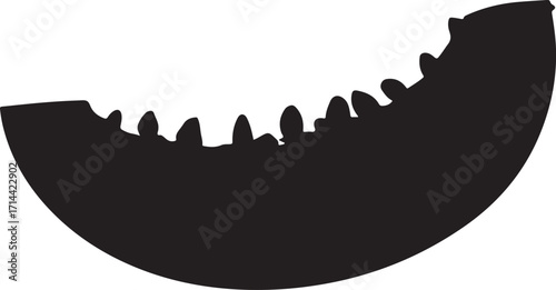  black silhouette of melon slice on white background, vector