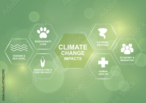 Climate Change Impacts. Green hexagonal infographic showing six climate change impact categories: oceans, biodiversity, agriculture, extreme weather, health, economy migration. Vector illustration