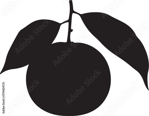 black silhouette of orange fruit on white background, vector