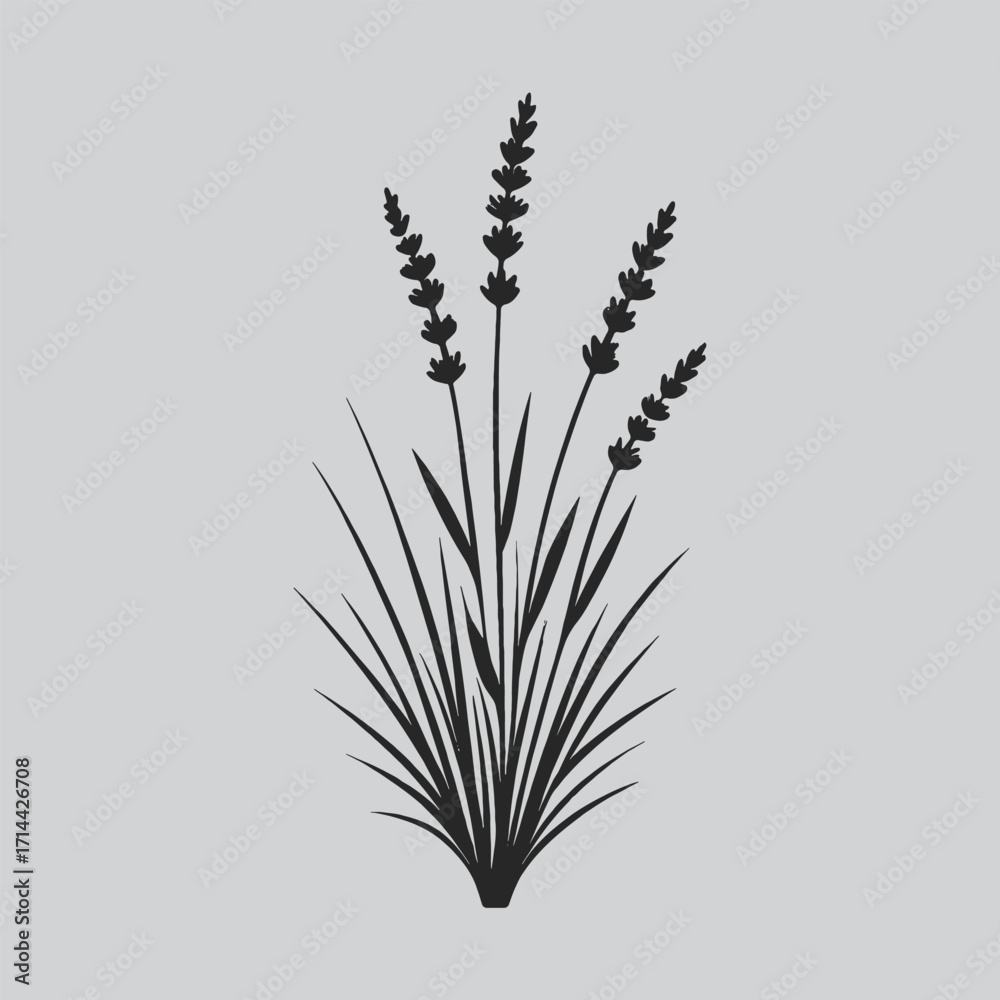 Fototapeta premium Lavender Flower Silhouette Digital Art