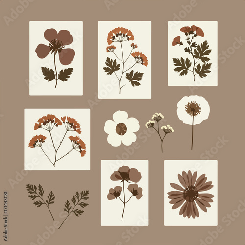 Illustration of pressed flowers and leaves in shades of brown and cream on a mocha background